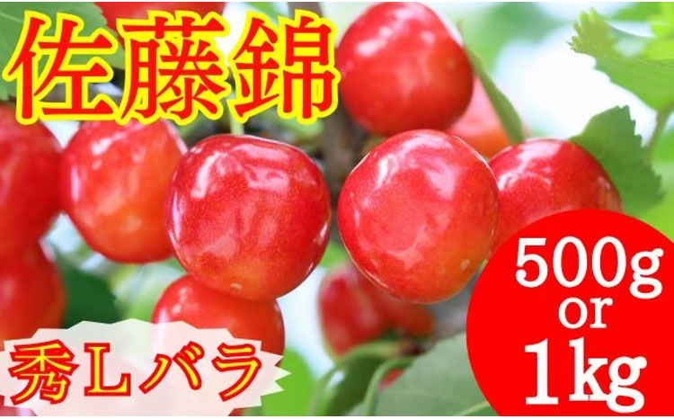 ふるさと納税